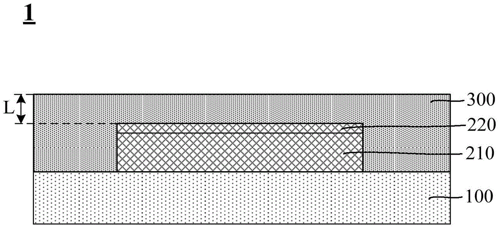 Fingerprint identification device and fingerprint identification assembly with mould pressing protection layer