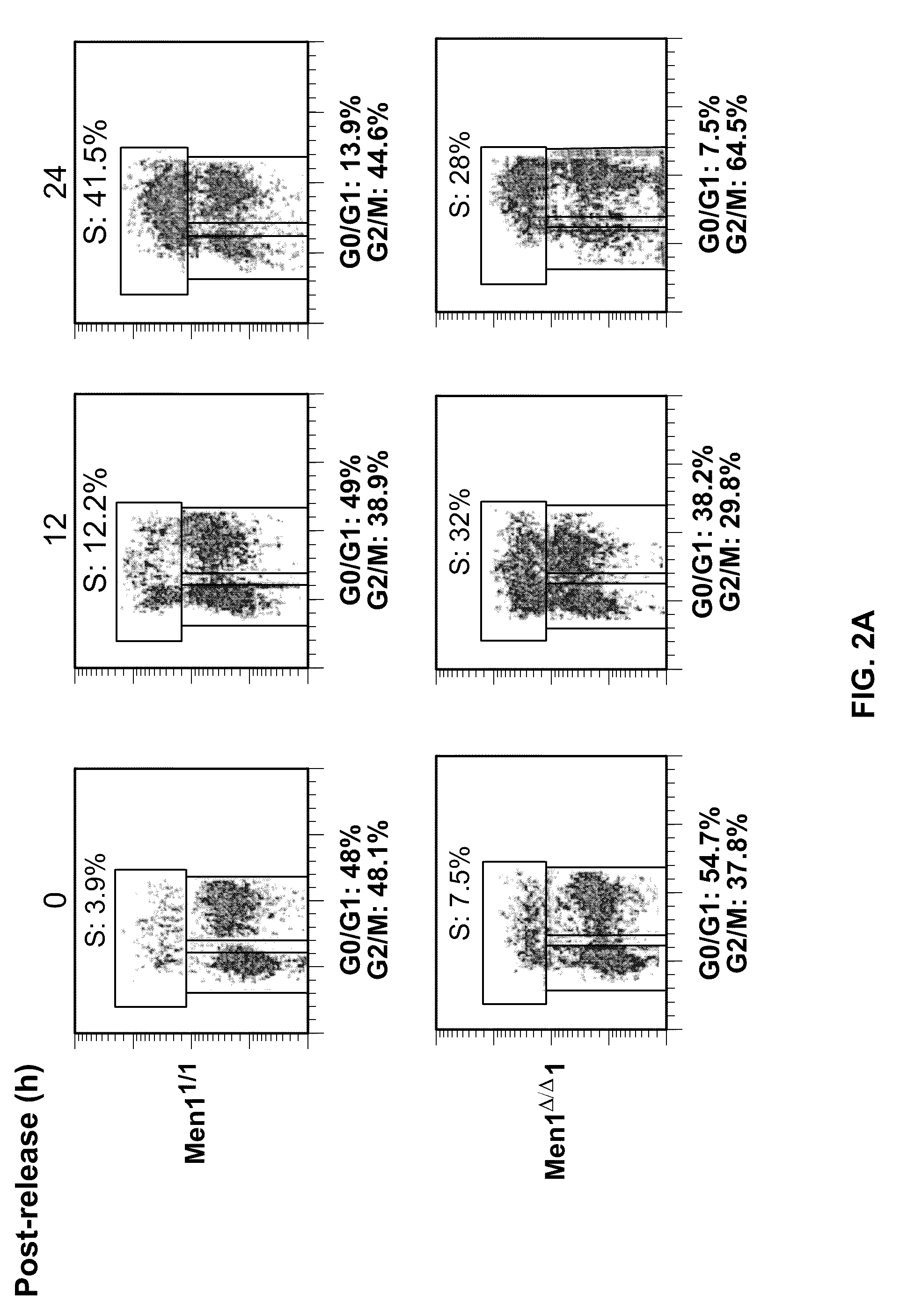 Men1 gene for diagnosis and treatment of diabetes