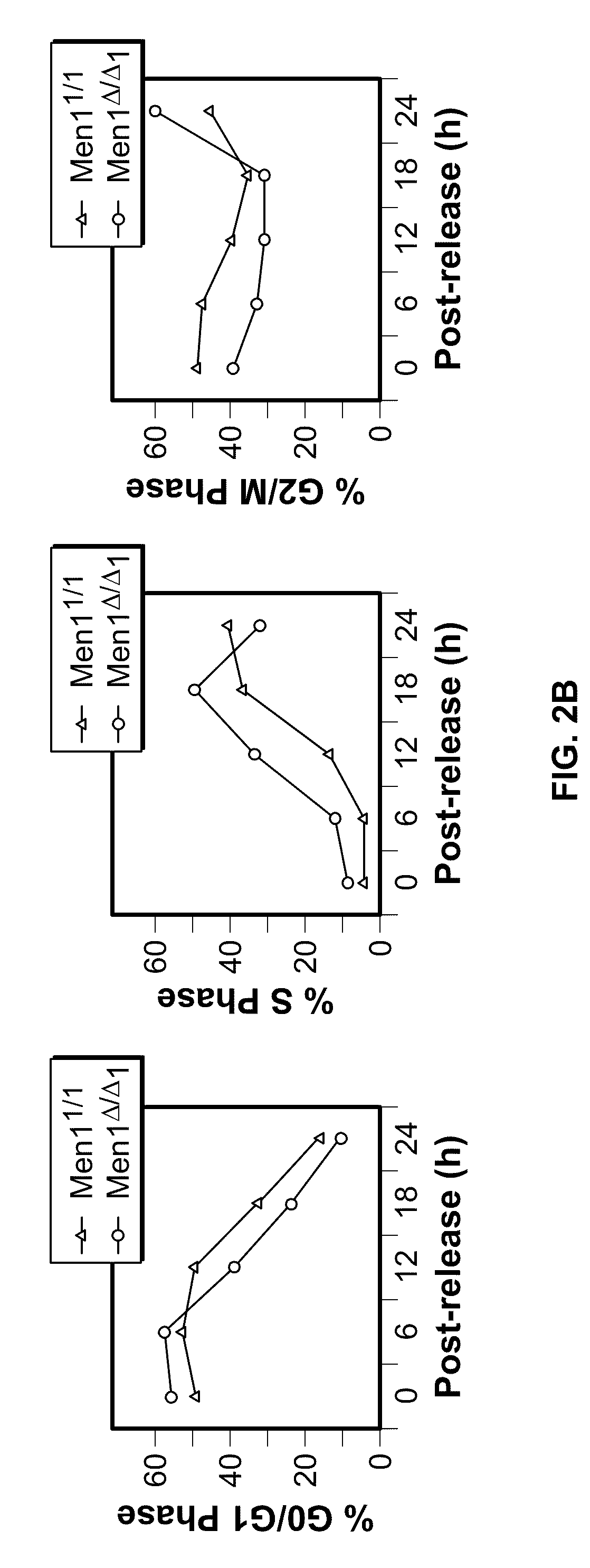 Men1 gene for diagnosis and treatment of diabetes