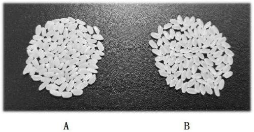 Preparation method of earthworm bioactive fulvic acid