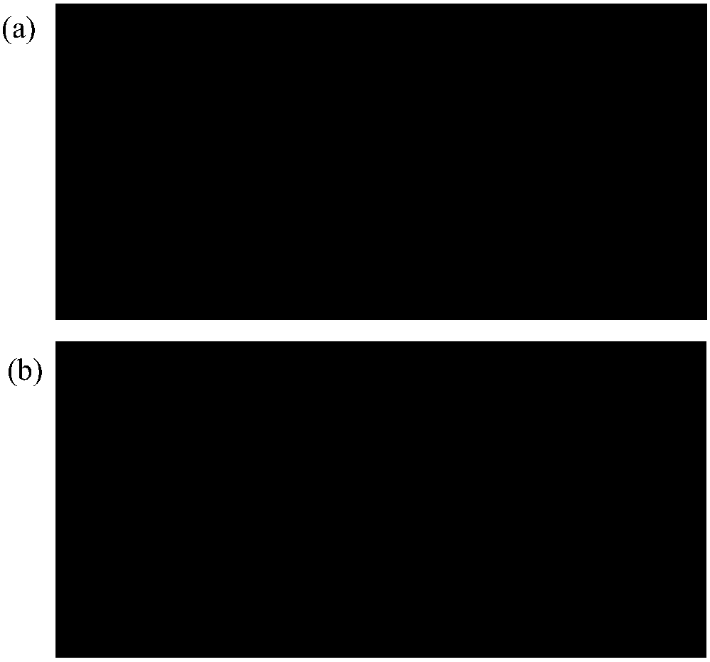 Anti-fog/anti-frost coating based on cationic polyelectrolyte copolymer and preparation method of anti-fog/anti-frost coating