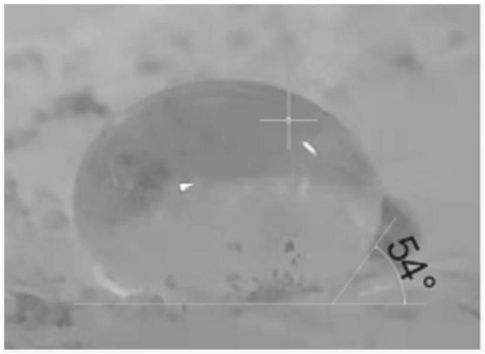 Preparation of polyhydroxy fatty acid and application of polyhydroxy fatty acid in nano calcium carbonate coating