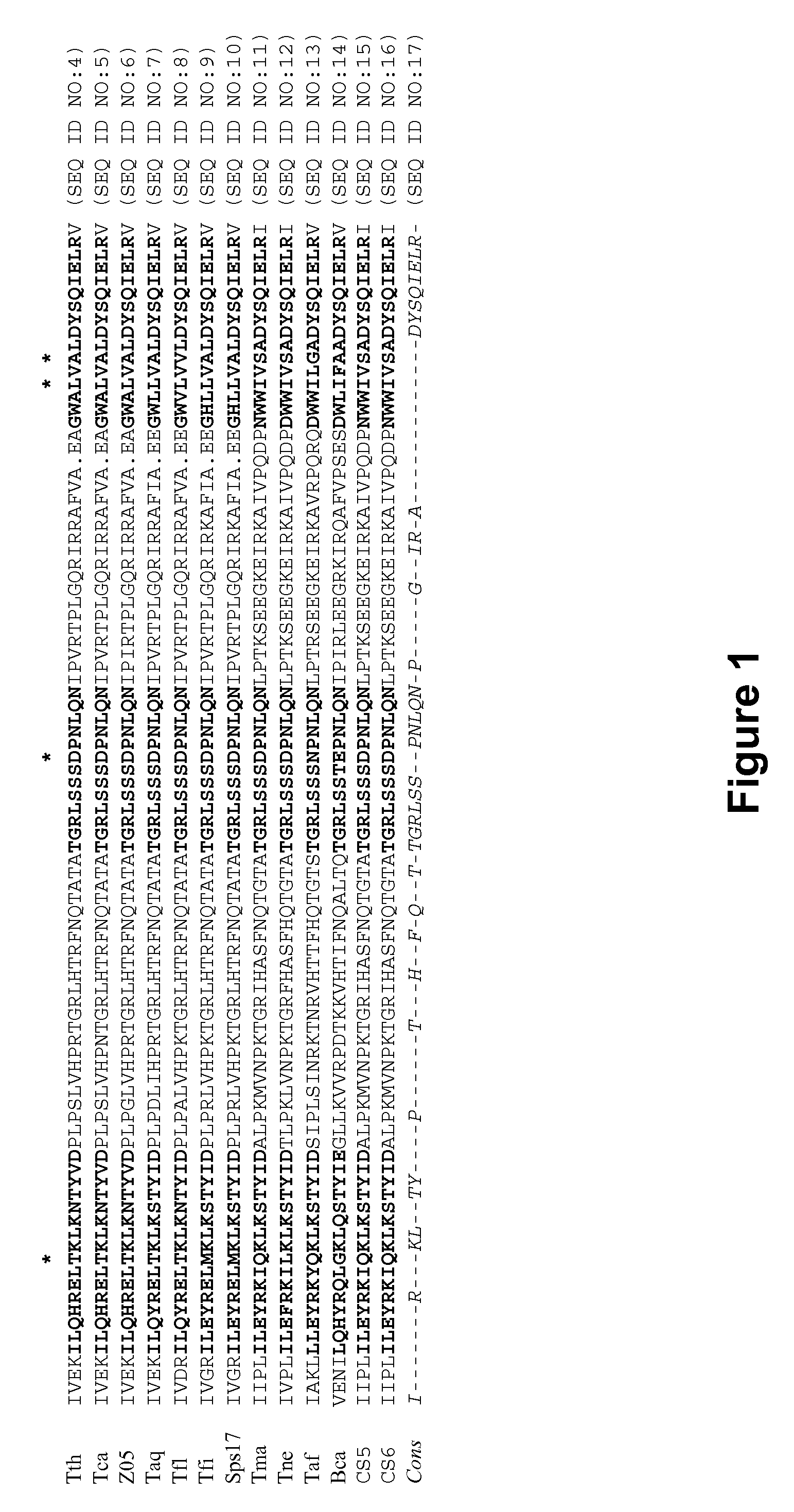 DNA polymerases and related methods