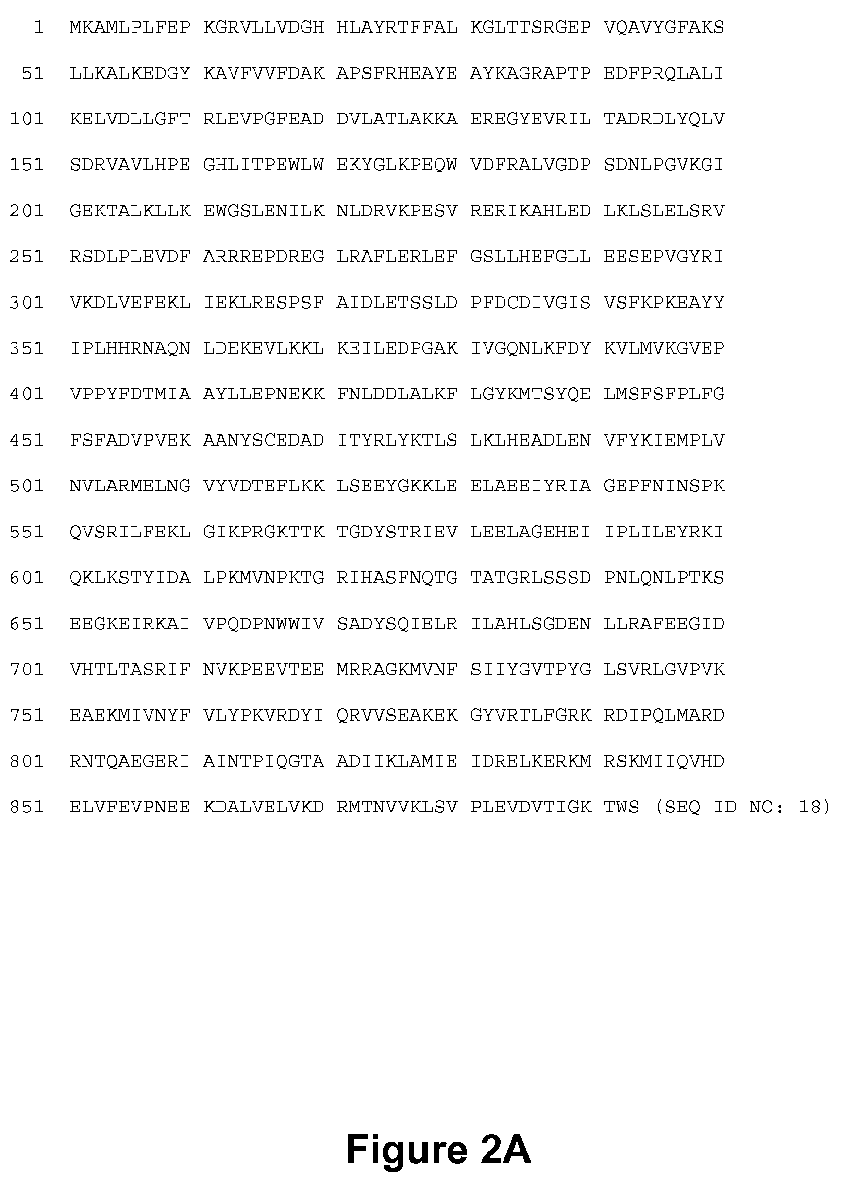 DNA polymerases and related methods