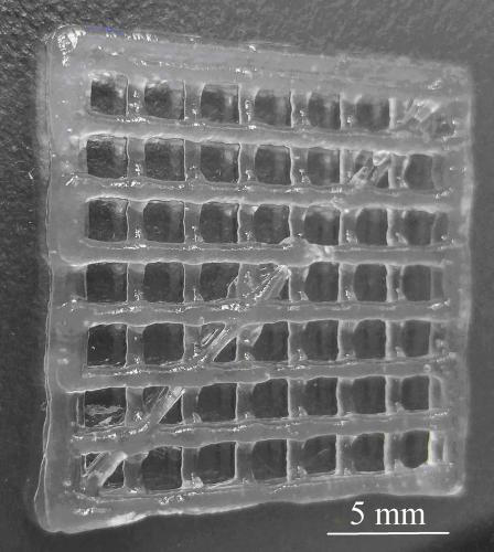 Preparation method of nanocellulose bio-printing gel ink