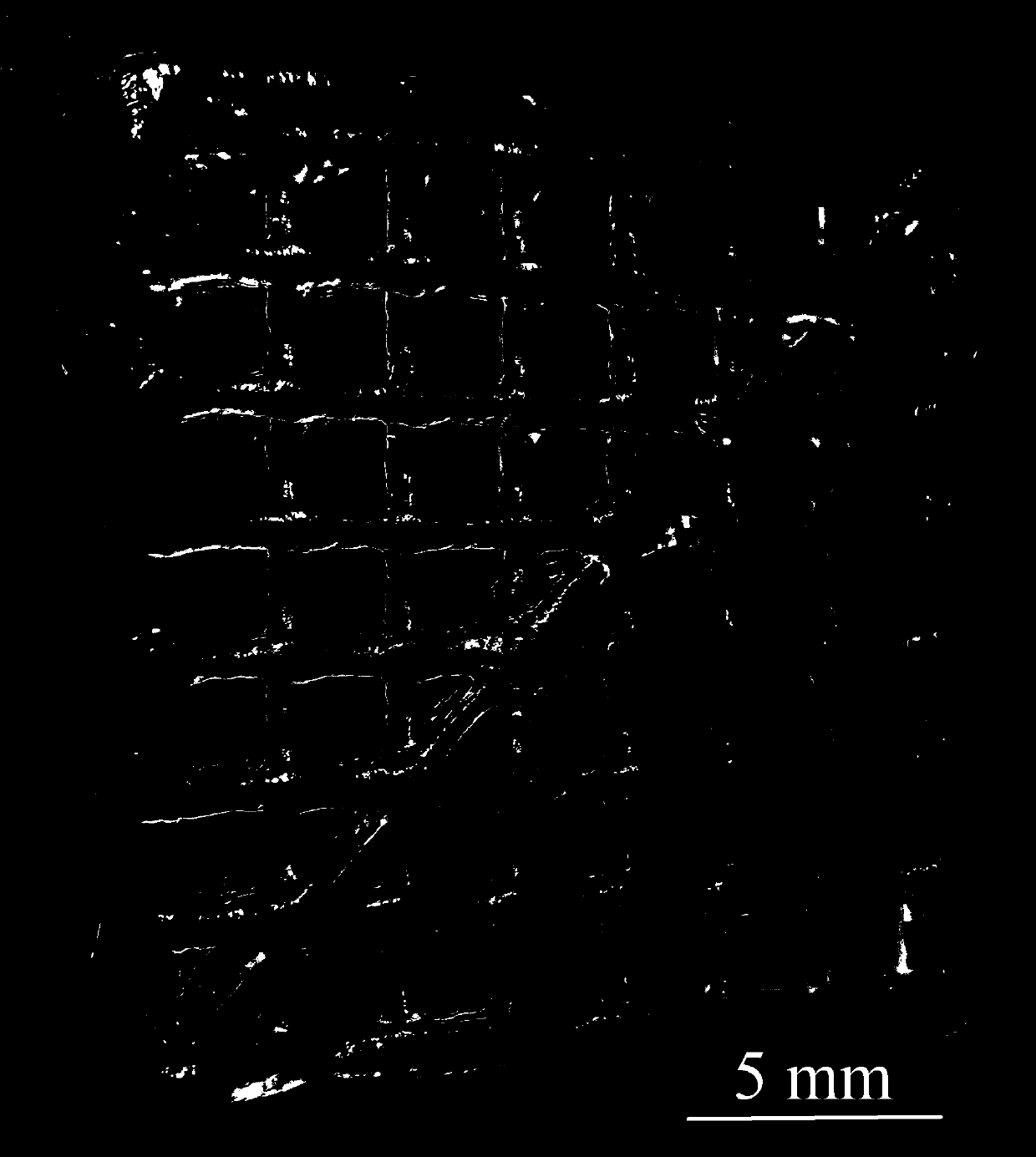 Preparation method of nanocellulose bio-printing gel ink