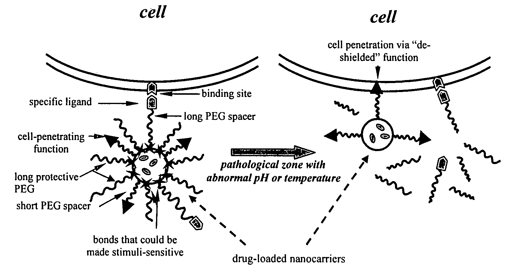 Condition-dependent, multiple target delivery system