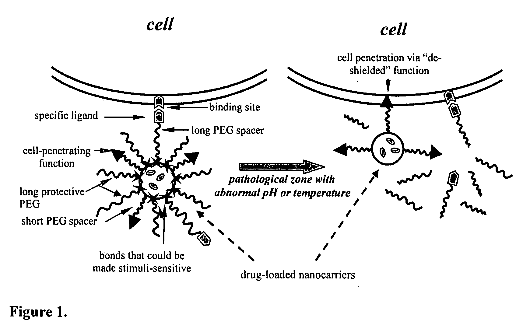 Condition-dependent, multiple target delivery system