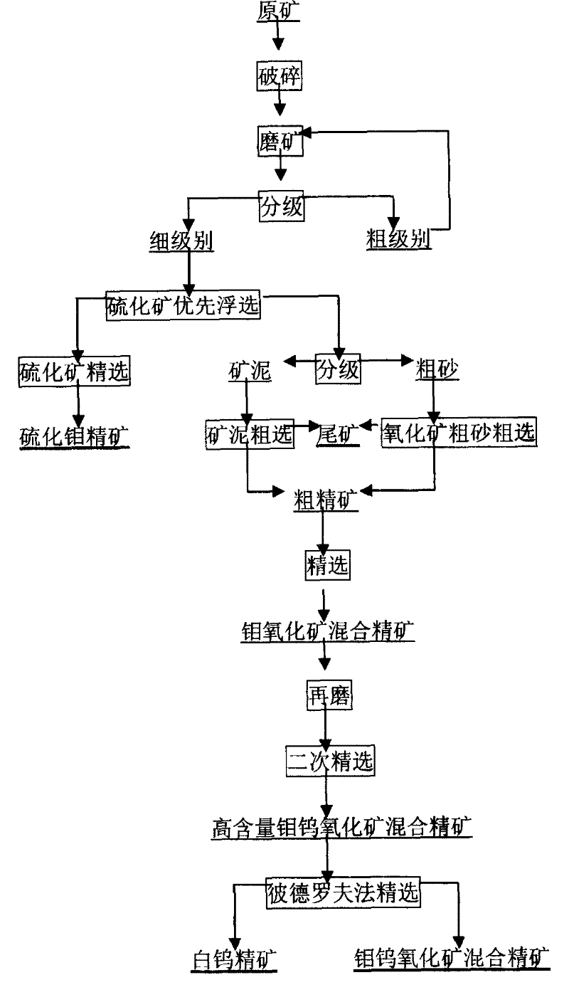 Processing technology for molybdenum and tungsten oxidized ore