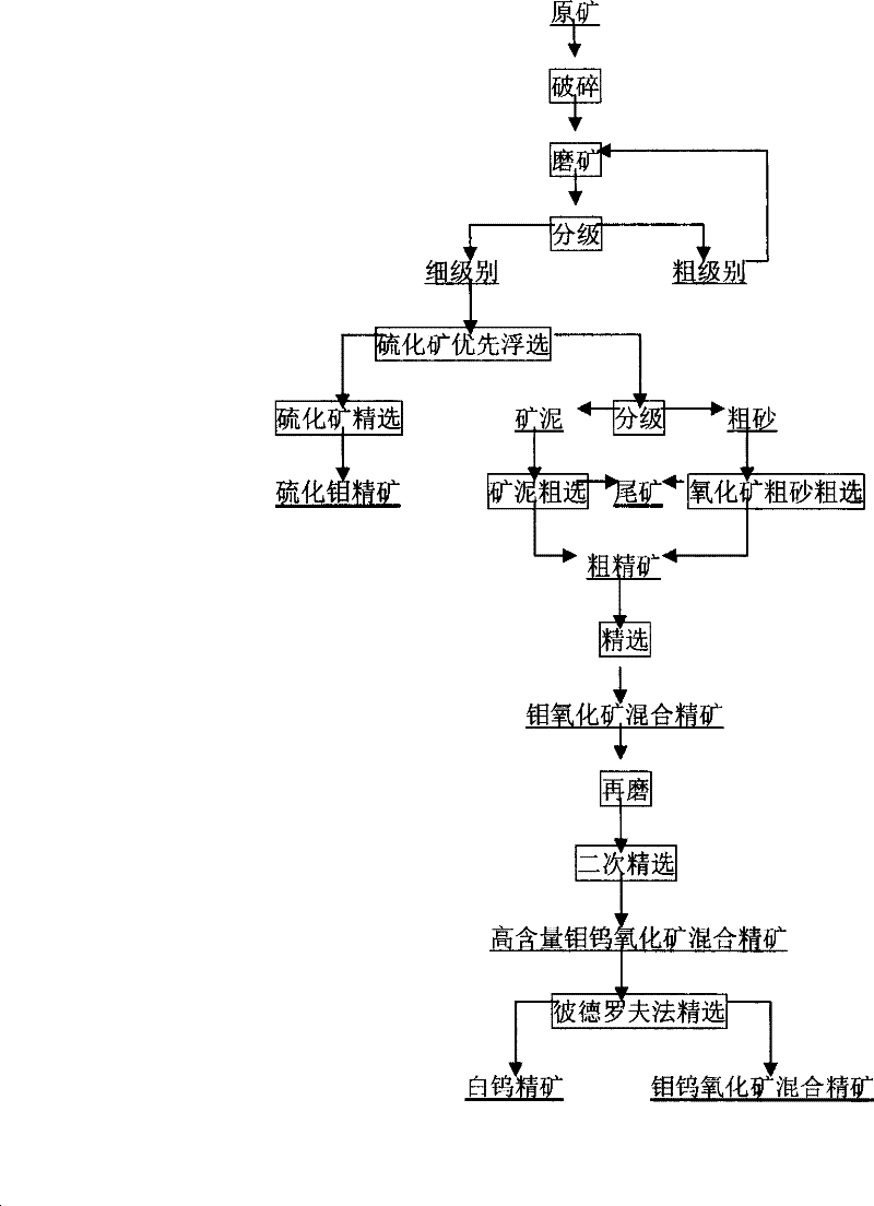 Processing technology for molybdenum and tungsten oxidized ore