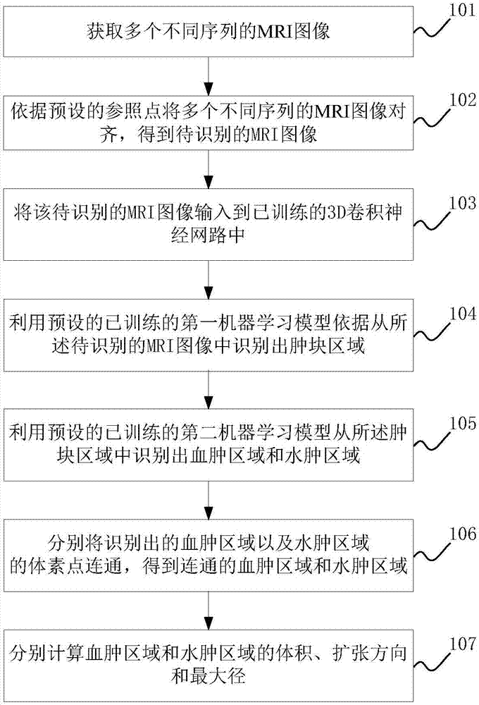 Method of identifying edema and hematoma in MRI image and apparatus thereof