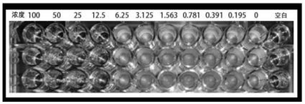 Application and use of antibacterial peptide Cm-CATH2 in inhibition of vibrio parahaemolyticus in marine products