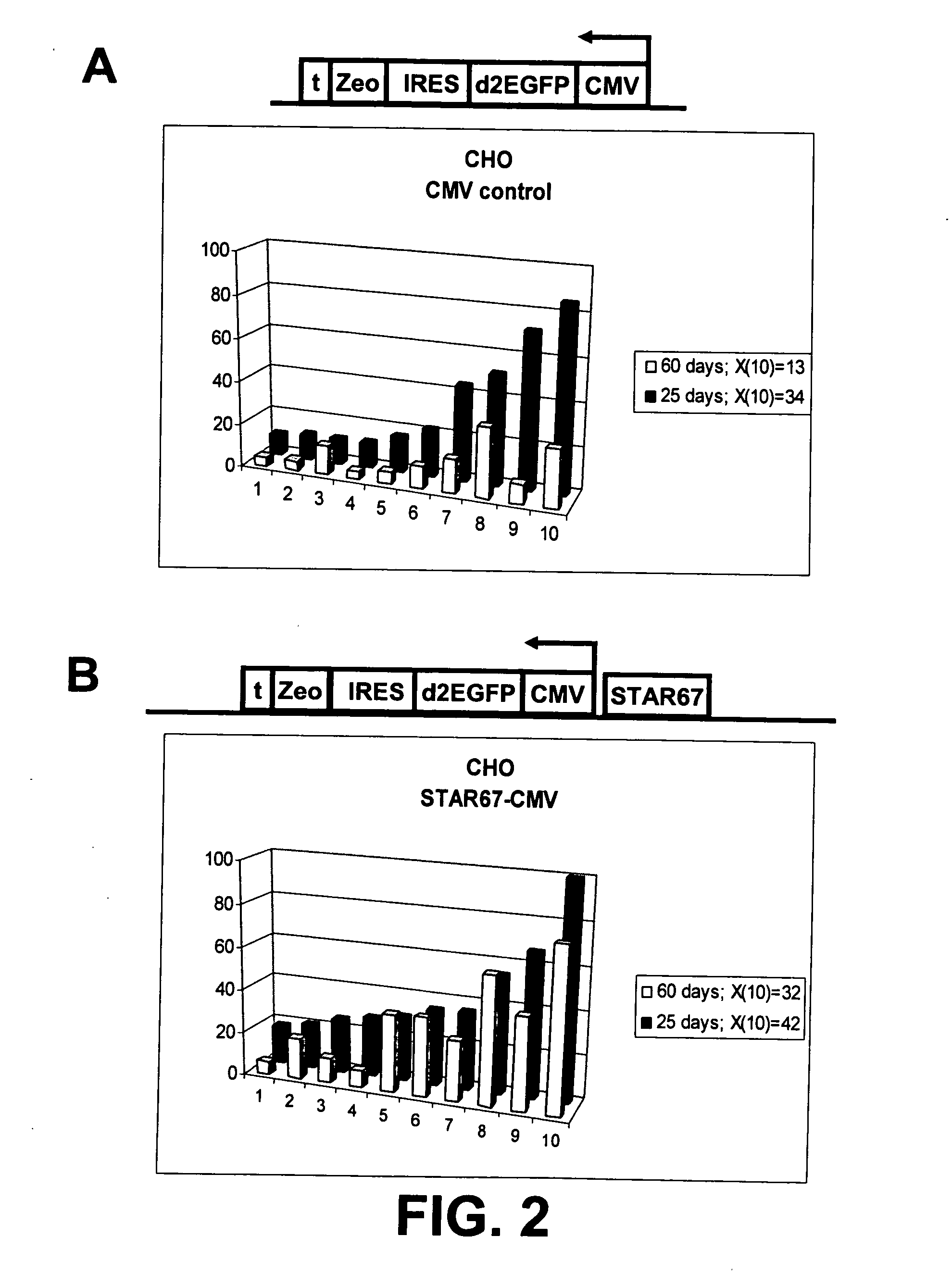 Selection of host cells expressing protein at high levels