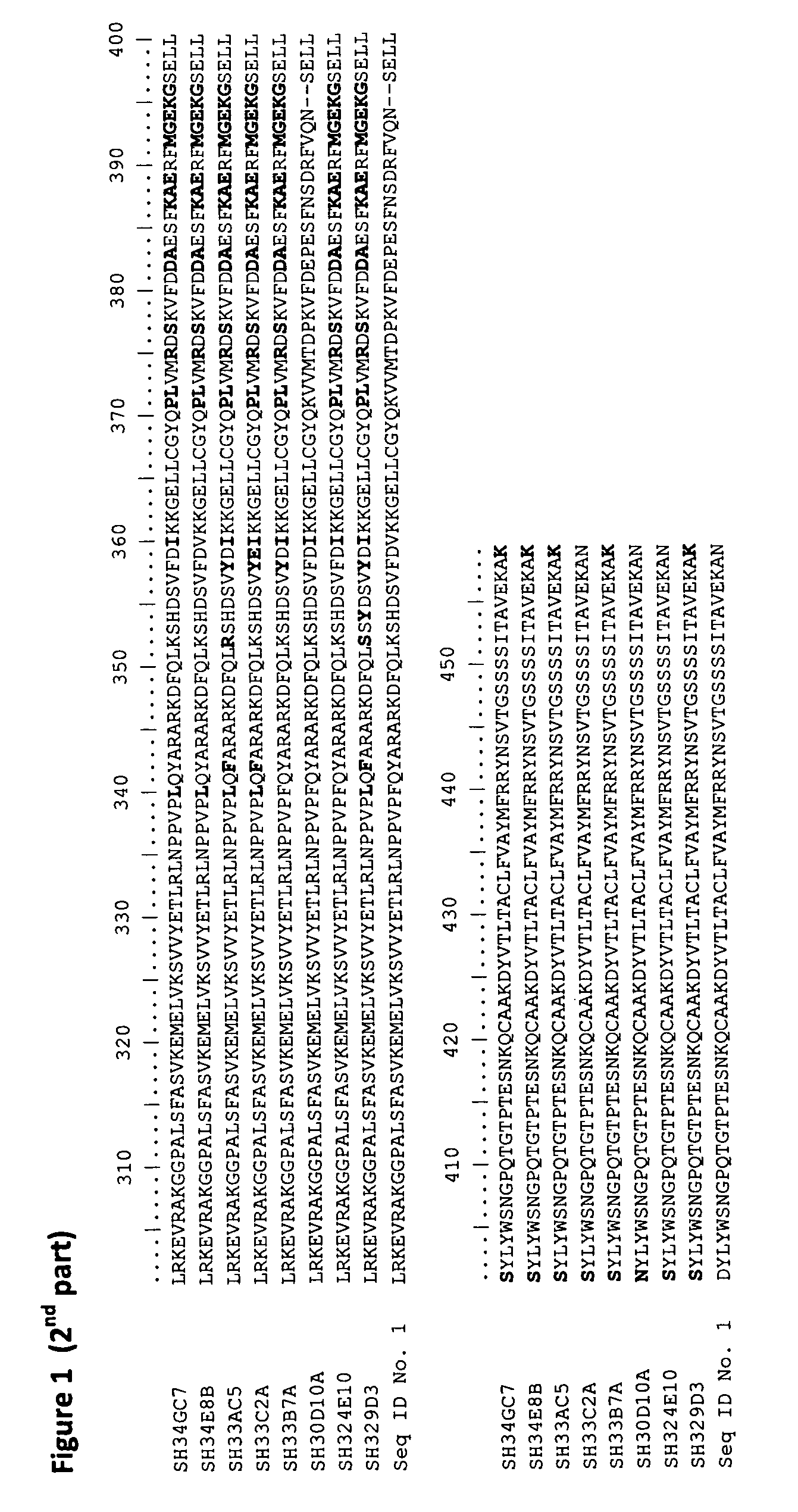 Modified 13-hydroperoxide lyases and uses thereof