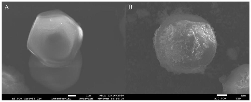 Preparation method and application of plasmonic composite photocatalyst pd/dut-67