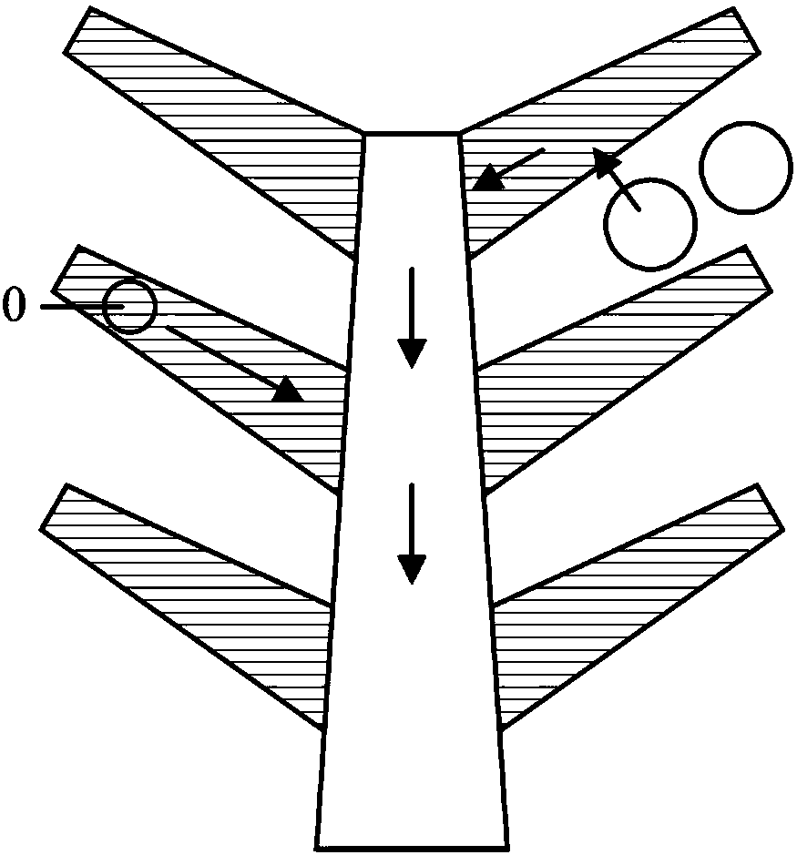 Wedge-shaped fractal based tree-from spontaneous orienting, transporting and collecting runner structure