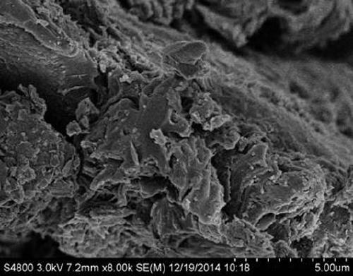 A kind of activated carbon particle electrode modified by quinone compound and its preparation method and application