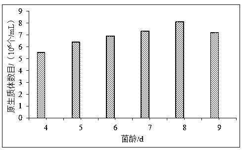 Preparation method of lignocellulose degrading strain protoplast