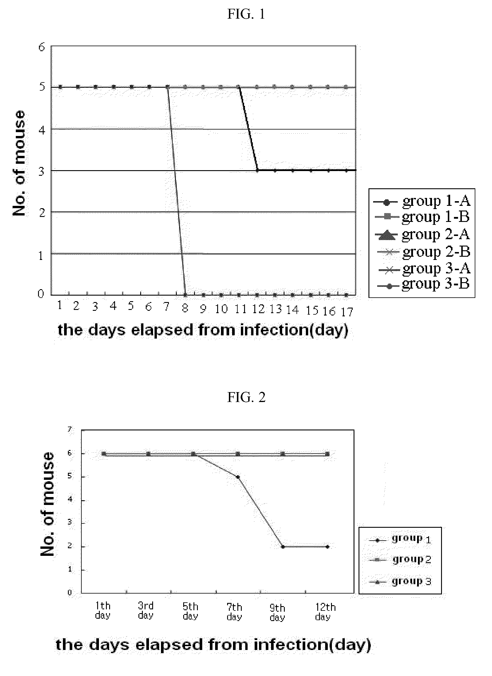 Composition for preventing virus infection comprising poly-gamma-glutamic acid