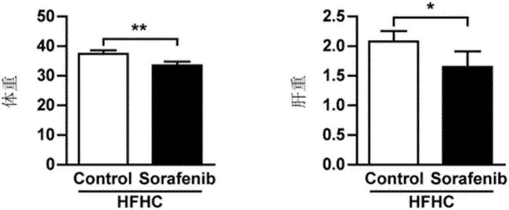 Application of sorafenib to preparing medicine for preventing, alleviating and/or treating fatty liver and related diseases