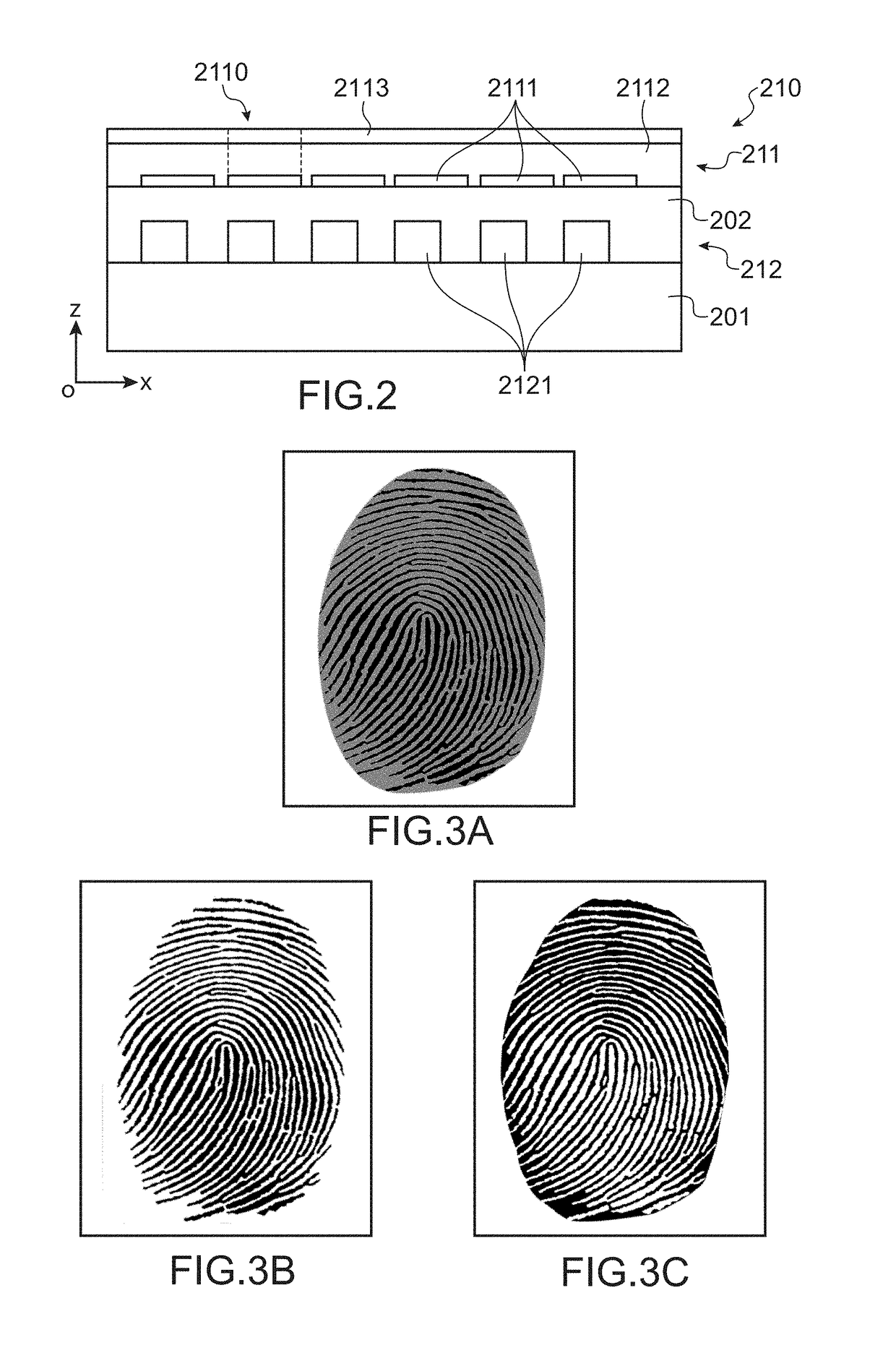 Method for recognising a false papillary print by structured lighting