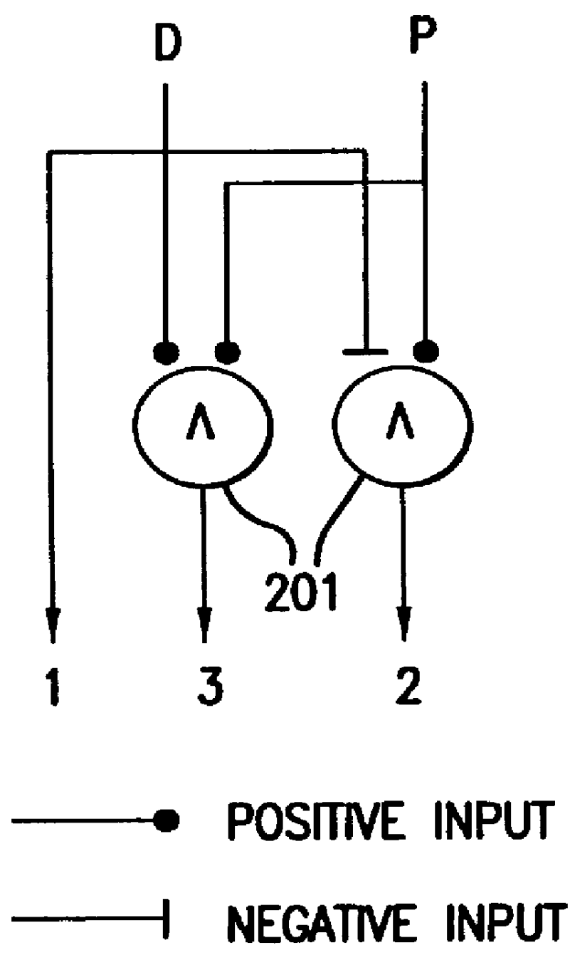 Methods for testing biological network models