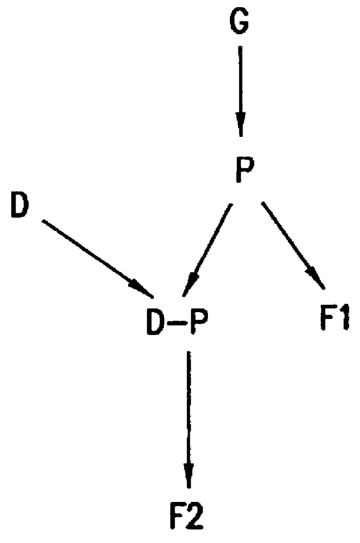 Methods for testing biological network models