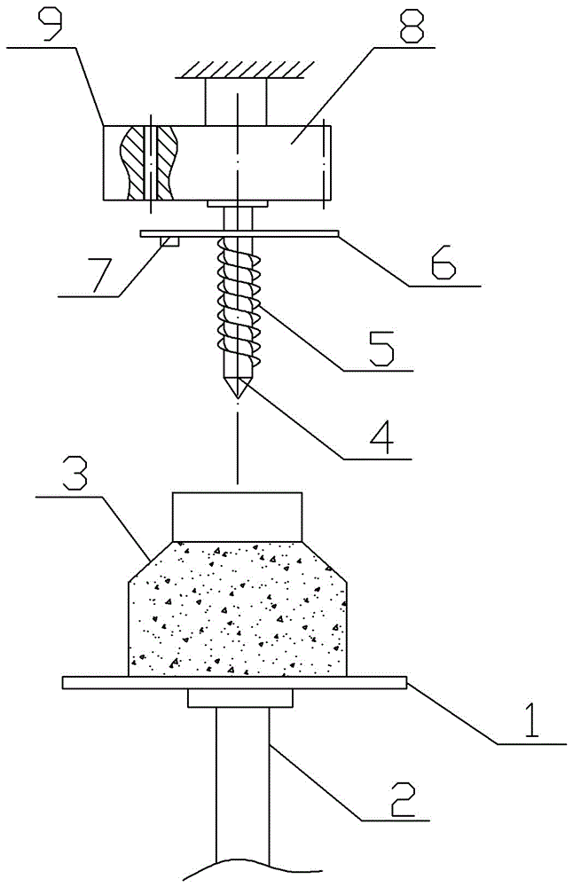 Seafood mushroom seed inoculator