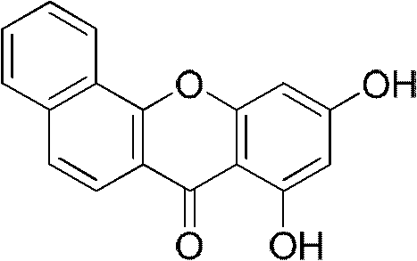 Substituted benzoxanthone type compound and application thereof