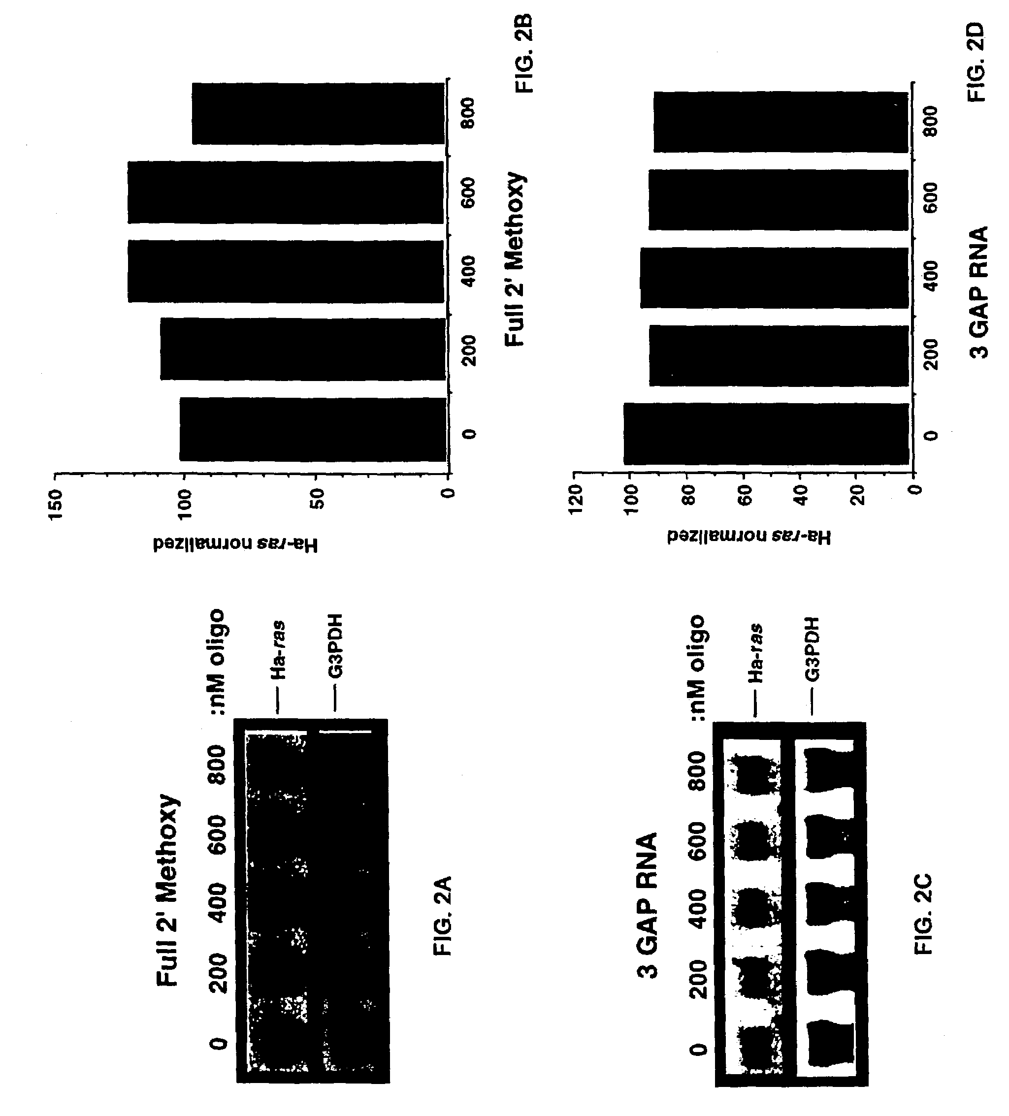 Oligoribonucleotides and ribonucleases for cleaving RNA