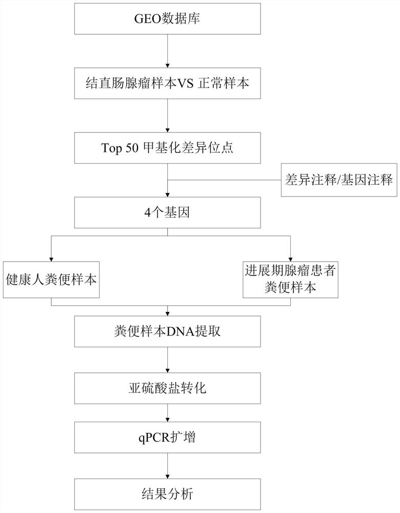 Marking composition for detecting colorectal adenoma and early diagnosis reagent thereof