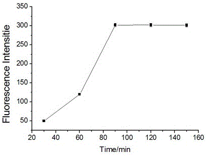 One step amplification method of fluorescence detection for mercury ions