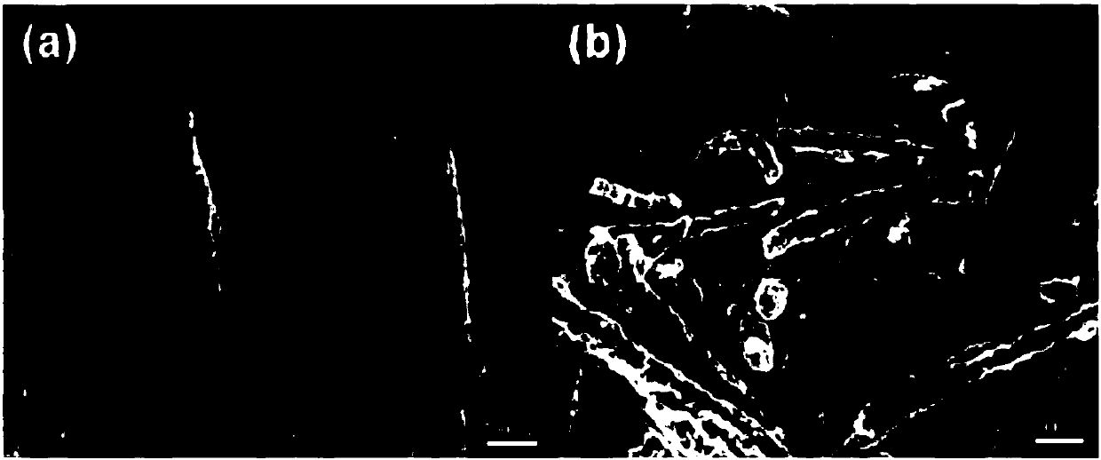 A kind of preparation method of cobalt phosphide hollow nanofiber material