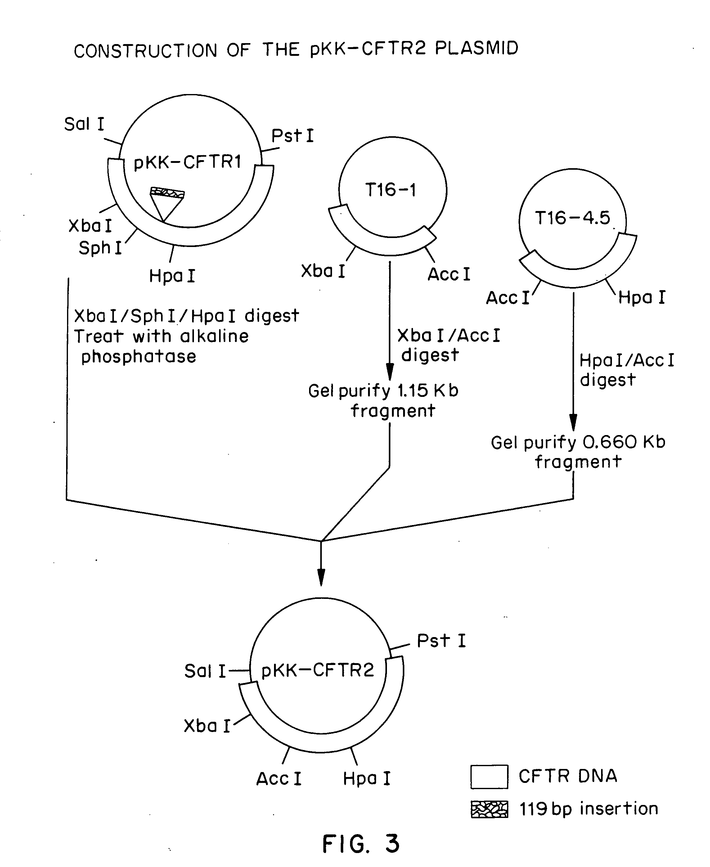 Diagnostic and treatment methods involving the cystic fibrosis transmembrane regulator