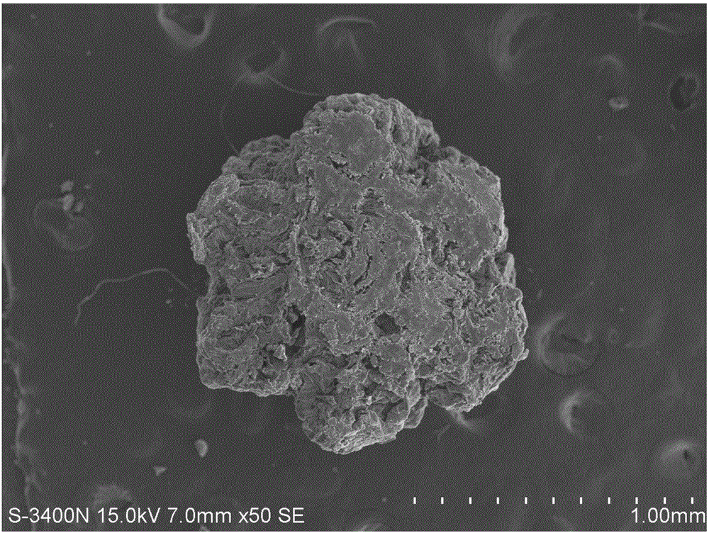 High-specific-area O-doped surface-modified silkworm-excrement-based microporous carbon material as well as preparation method and application thereof