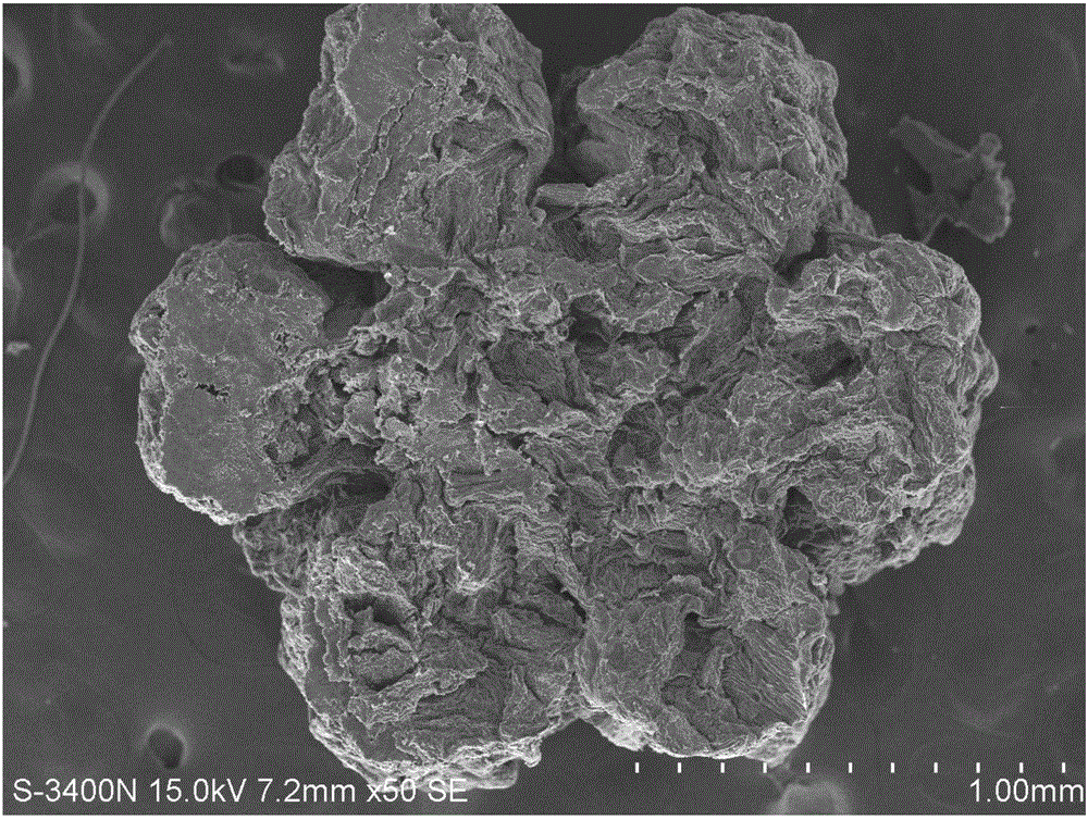 High-specific-area O-doped surface-modified silkworm-excrement-based microporous carbon material as well as preparation method and application thereof