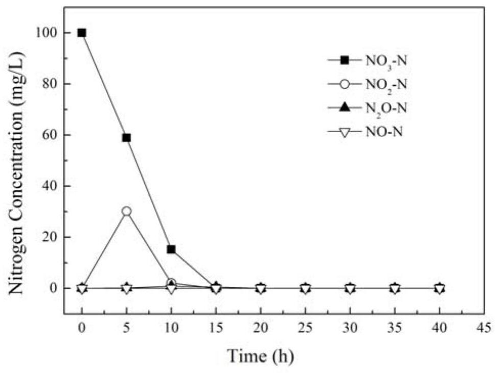 A colorless bacterium resistant to nickel ion toxicity and its application