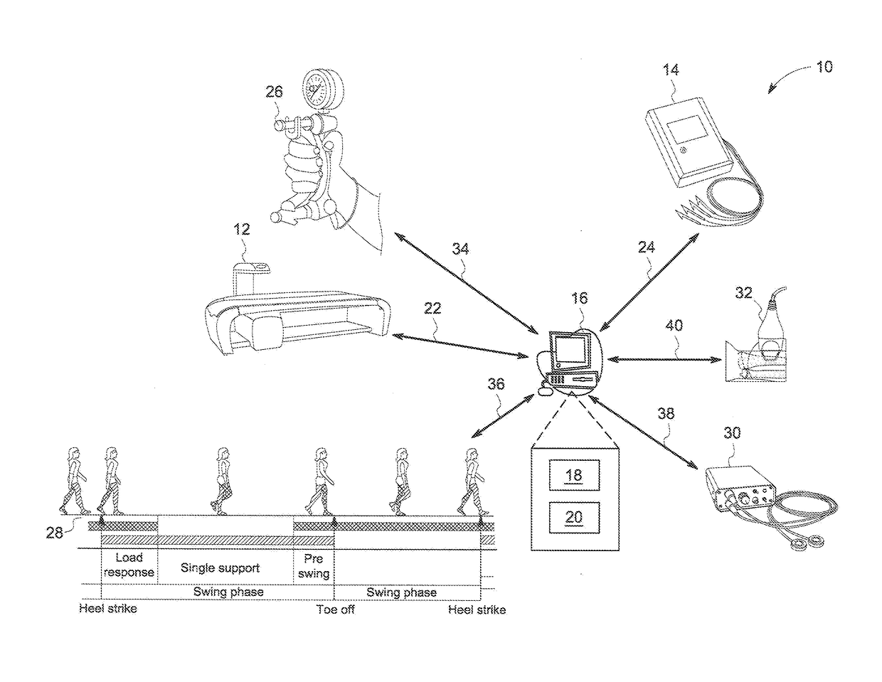 System and method for assessing muscle function of a patient