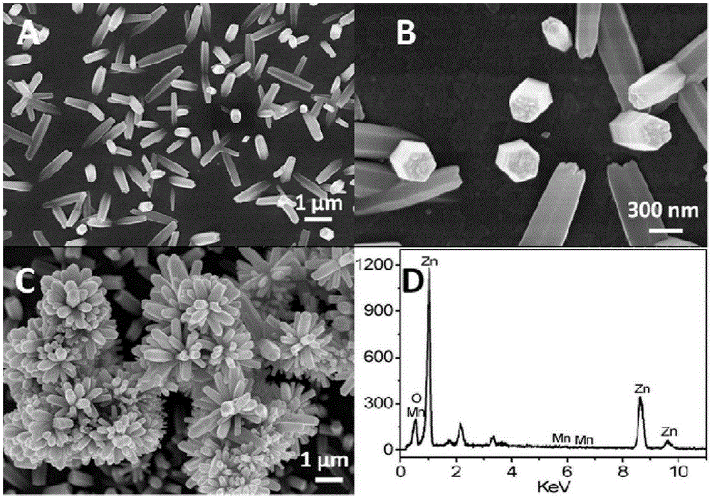 Construction method and detection method of potassium ion nucleic acid aptamer photoelectrochemical sensor based on diluted magnetic semiconductor