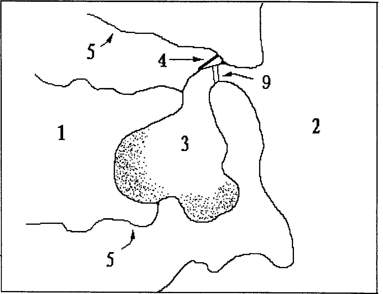 Method for exploiting and building tide driftage brook