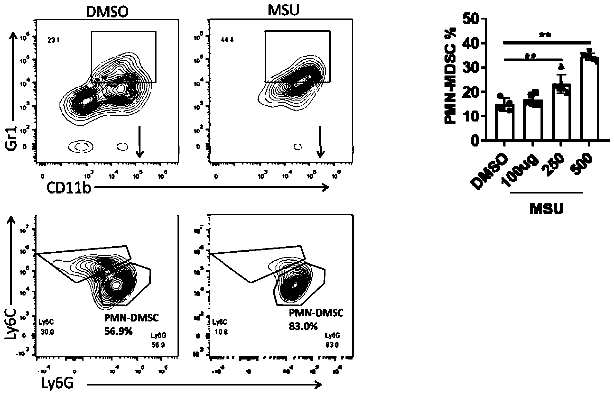 Method for generating myeloid suppressor cells through sodium urate induction[v]