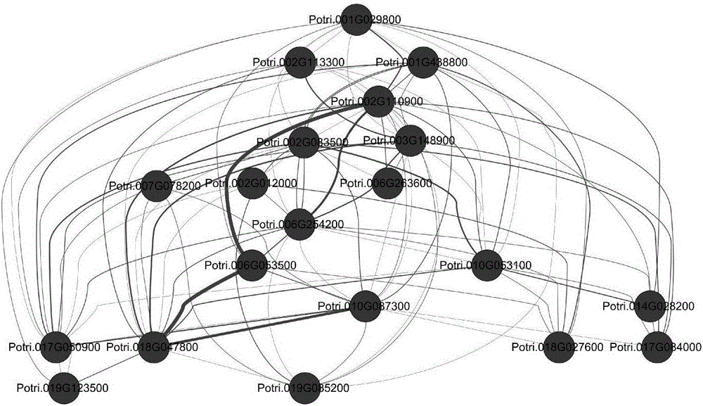 Method for constructing photosynthetic pathway gene regulation network