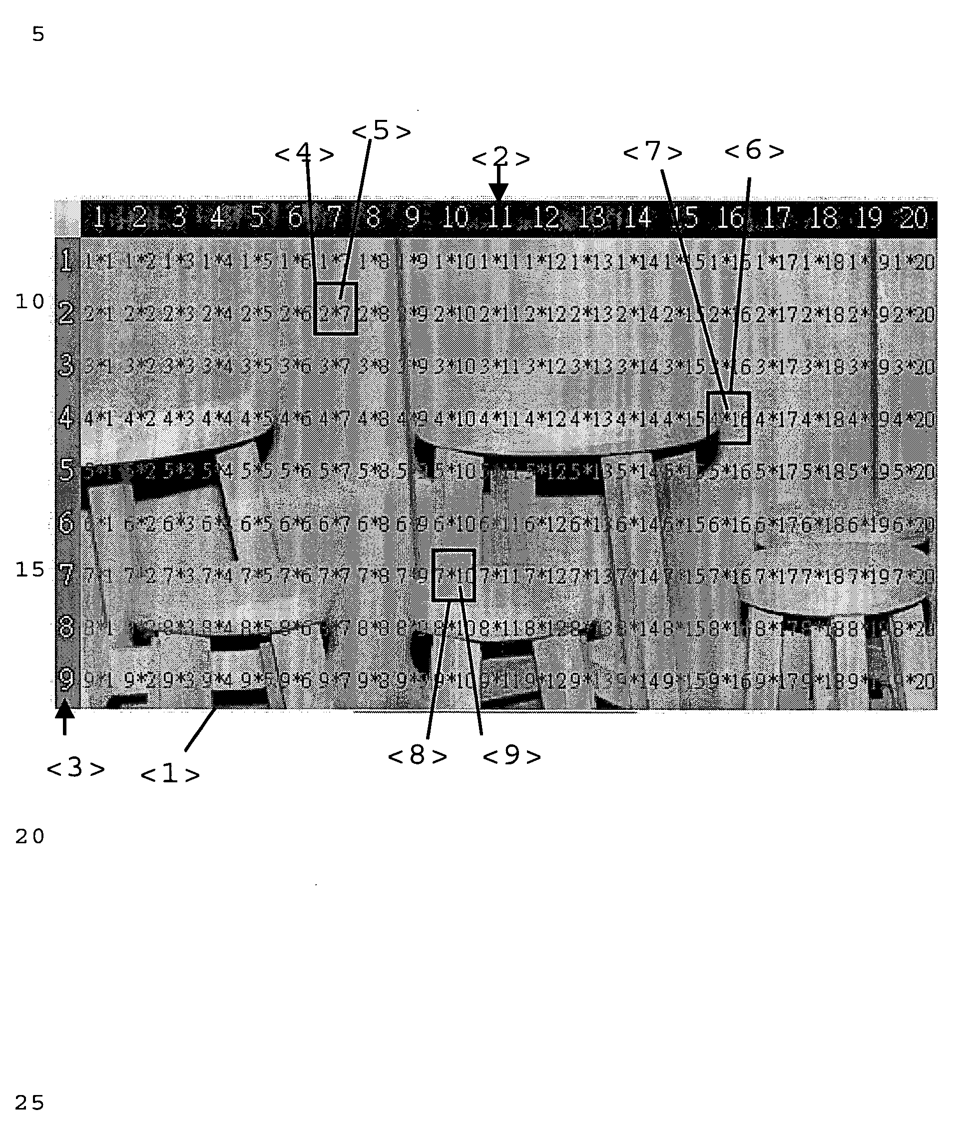 Method for verifying authorized access