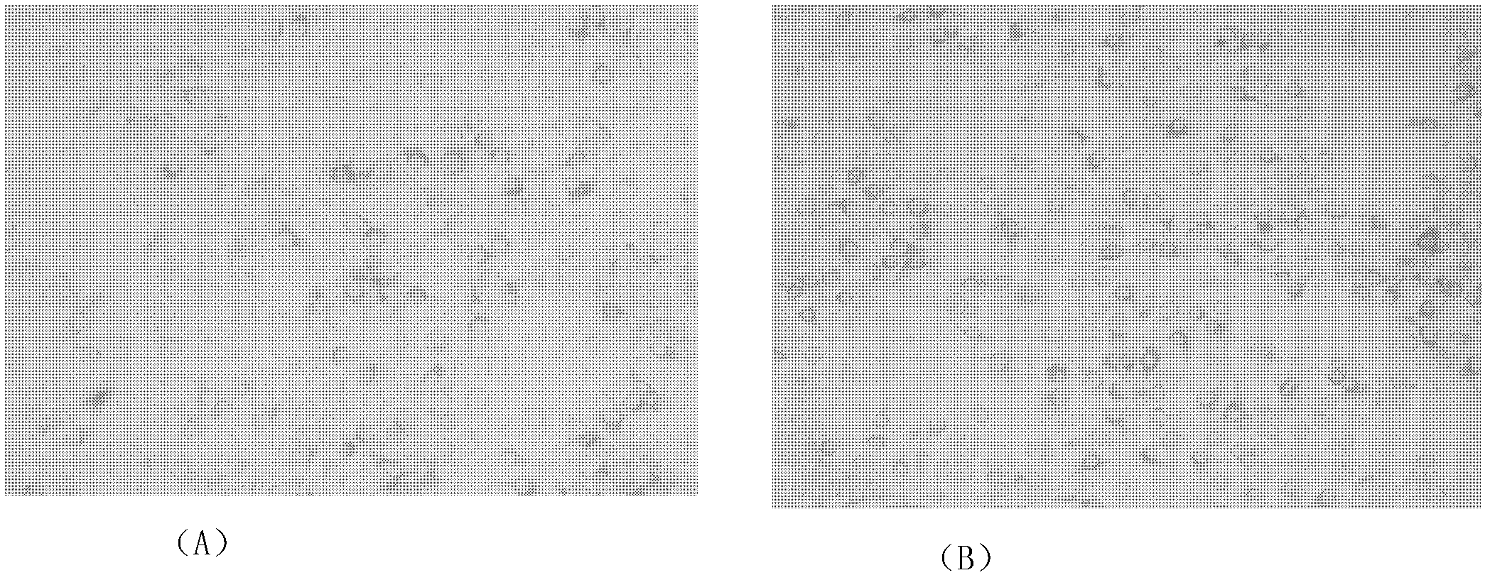 Method for establishing hog cholera lapinized virus labeled vaccine strain and preparing vaccine