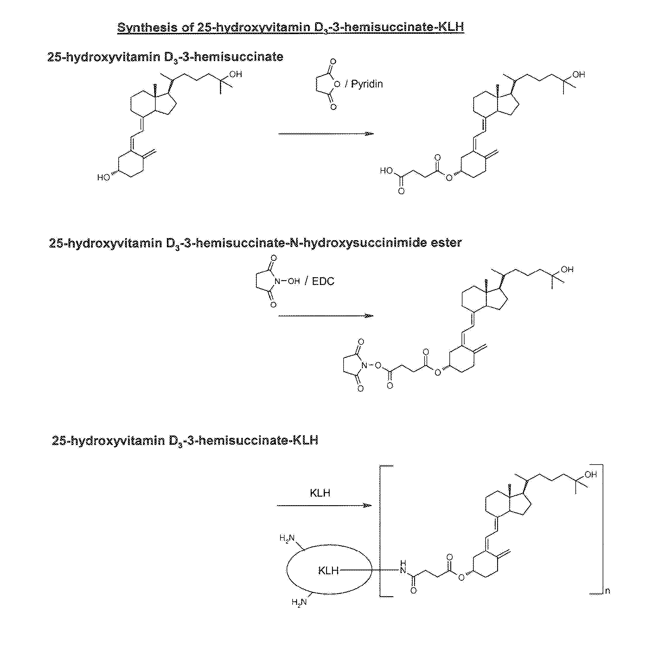 Antibodies against 25-hydroxyvitamin d