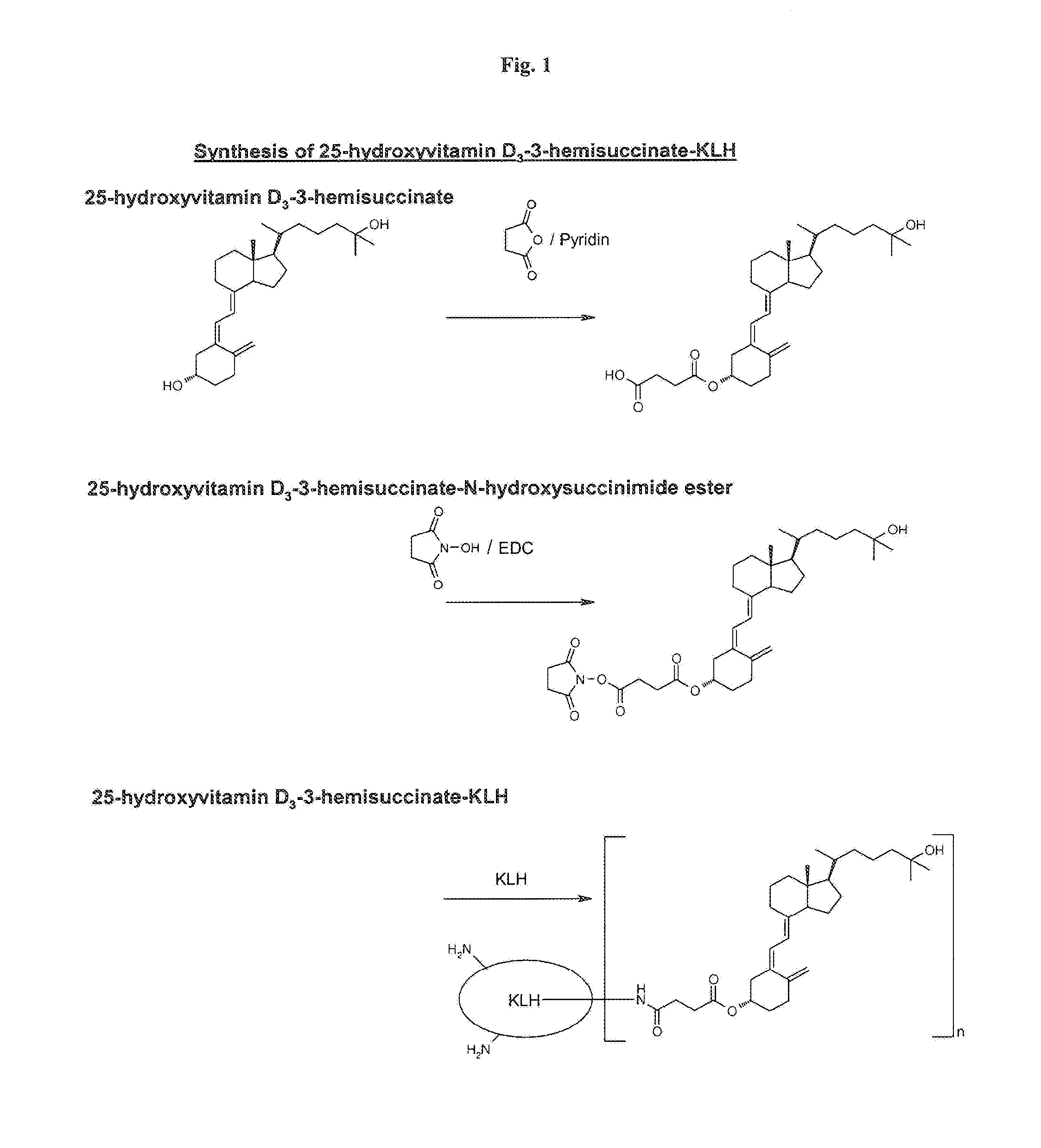 Antibodies against 25-hydroxyvitamin d