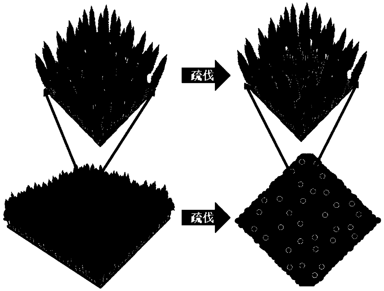 Transformation method for ecological public-welfare forest in western Sichuan area