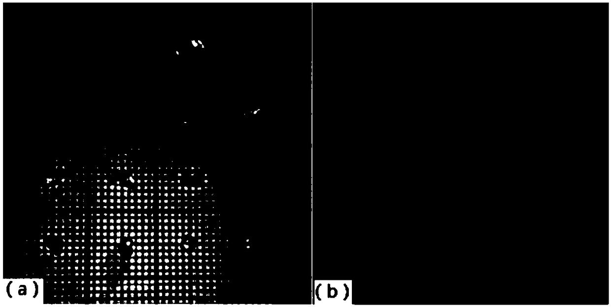 Hybridized perovskite microcrystal light-emitting material and preparation method and application thereof