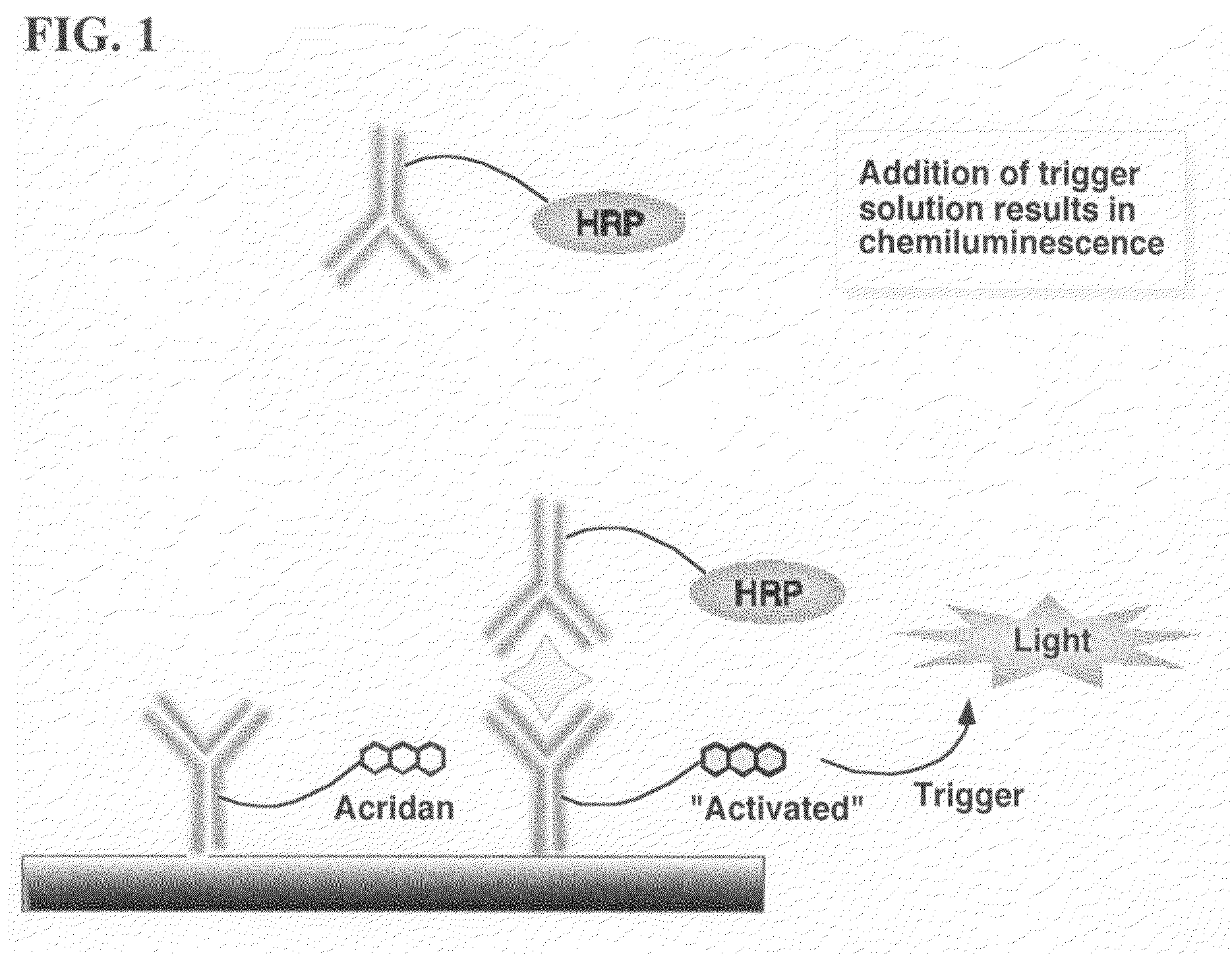 Nonseparation assay methods