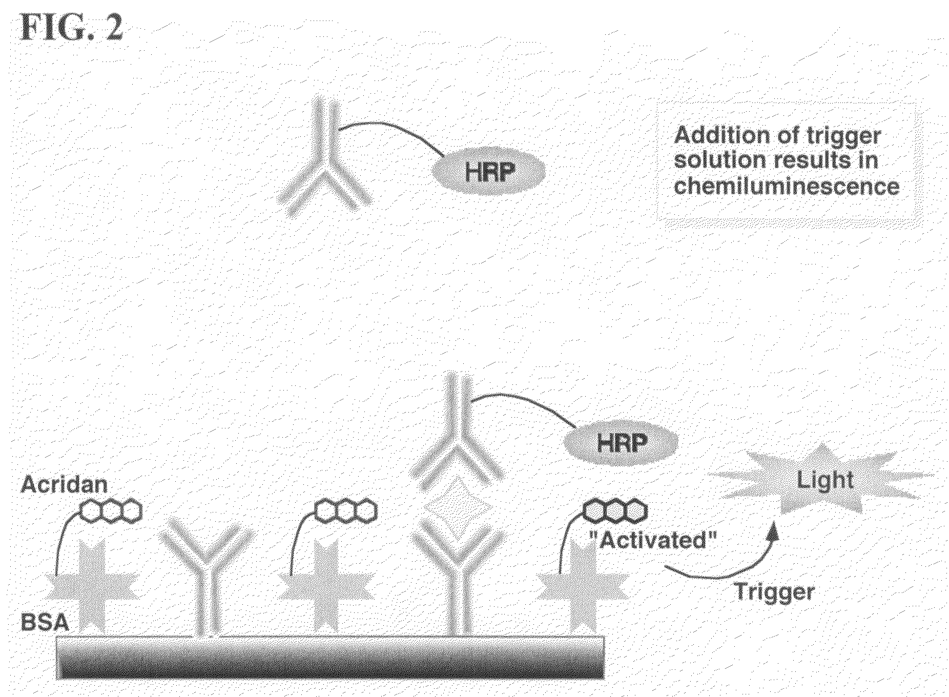 Nonseparation assay methods